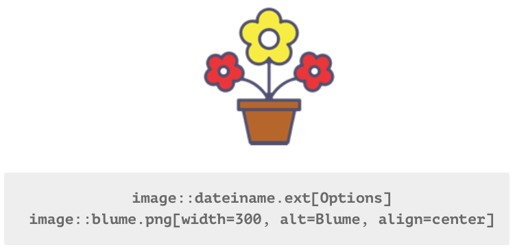 blume2